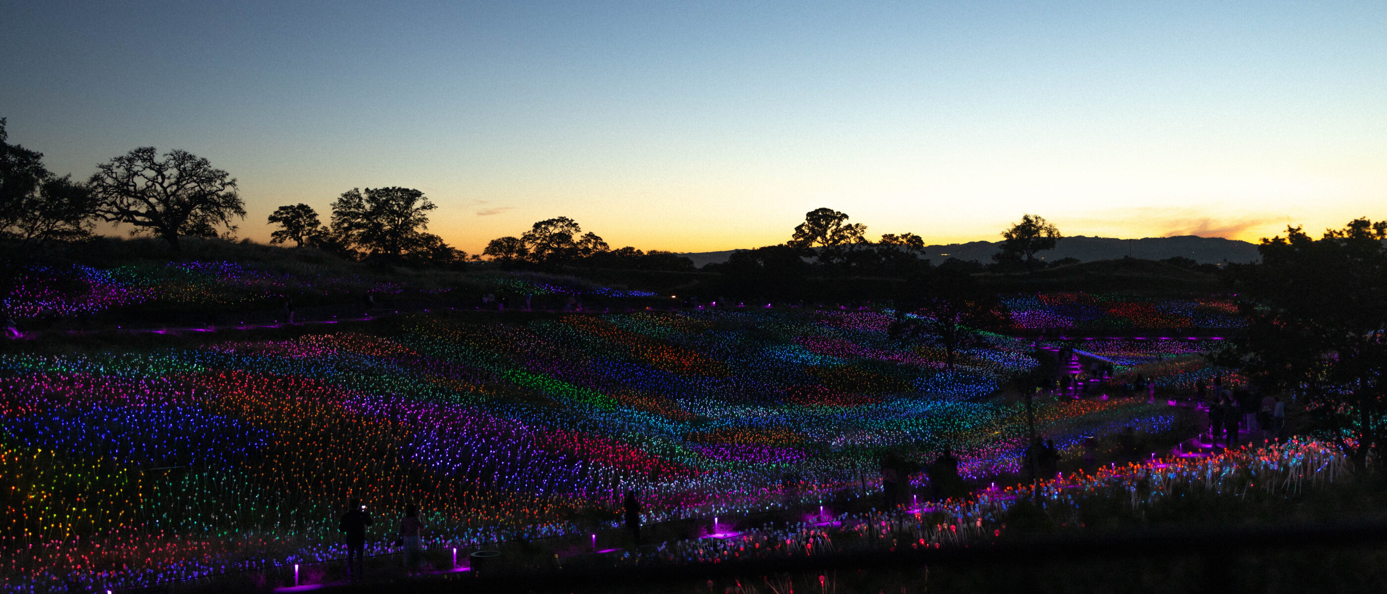 A landscape featuring brightly lit fields with colorful lights against a twilight sky. Silhouetted trees are visible in the foreground.