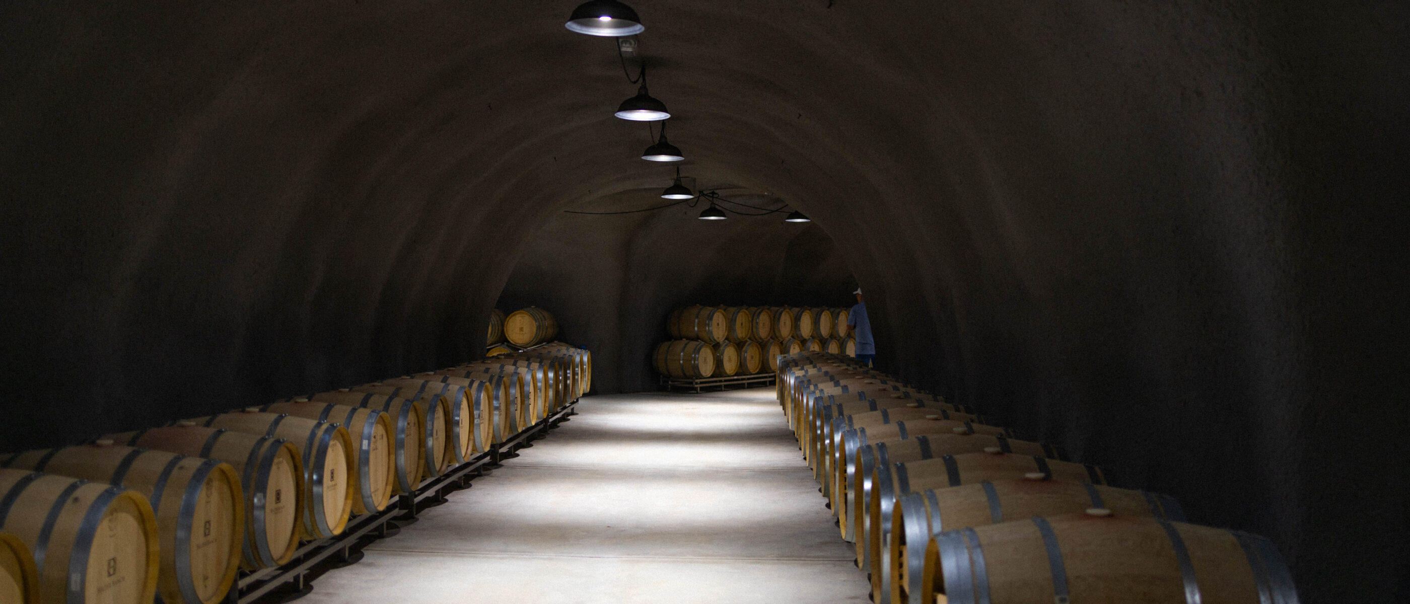 A dimly lit wine cellar featuring rows of wooden barrels along the walls and overhead lights illuminating the space.