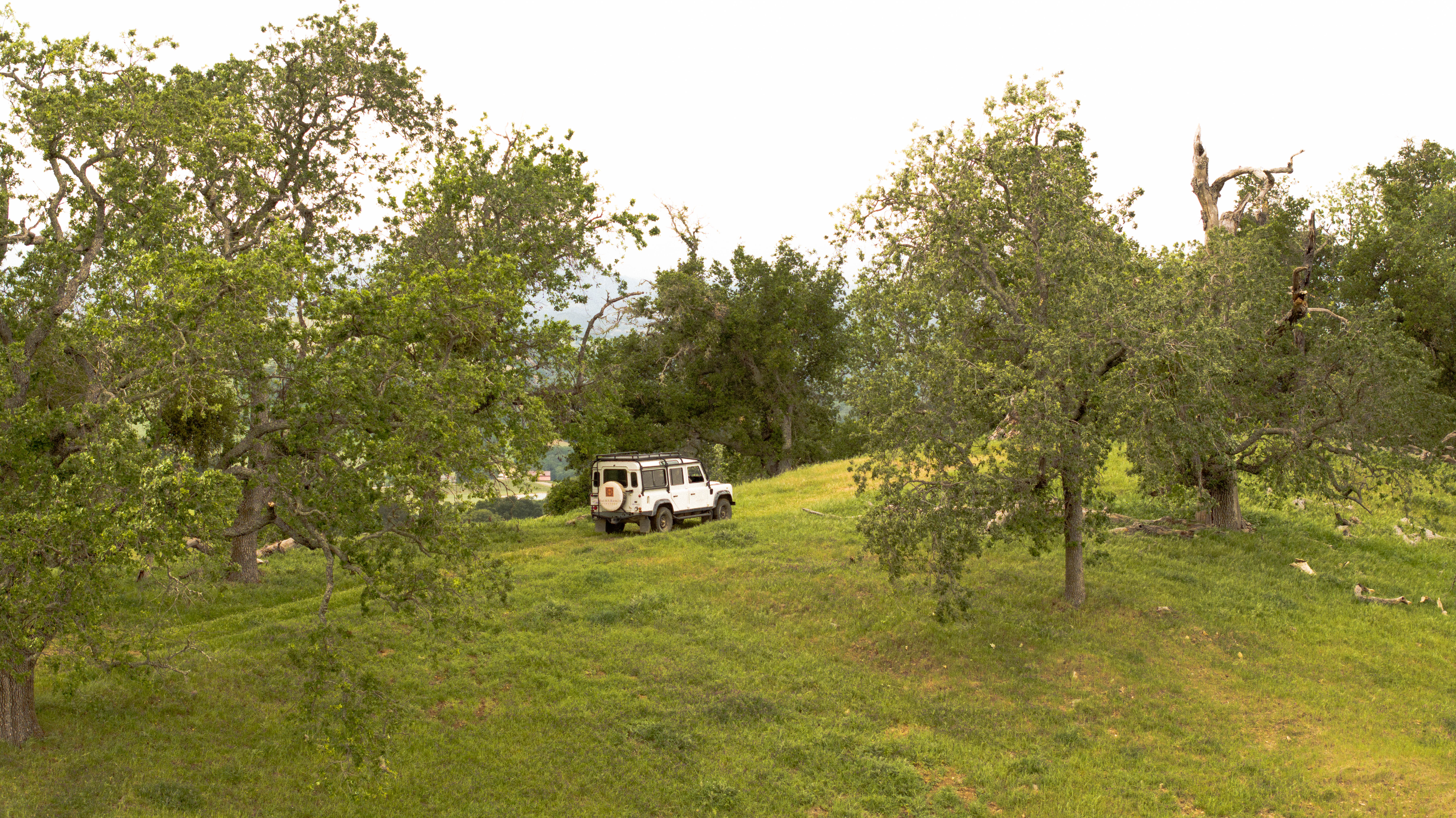 A white jeep is parked on a grassy hillside surrounded by trees under a cloudy sky.