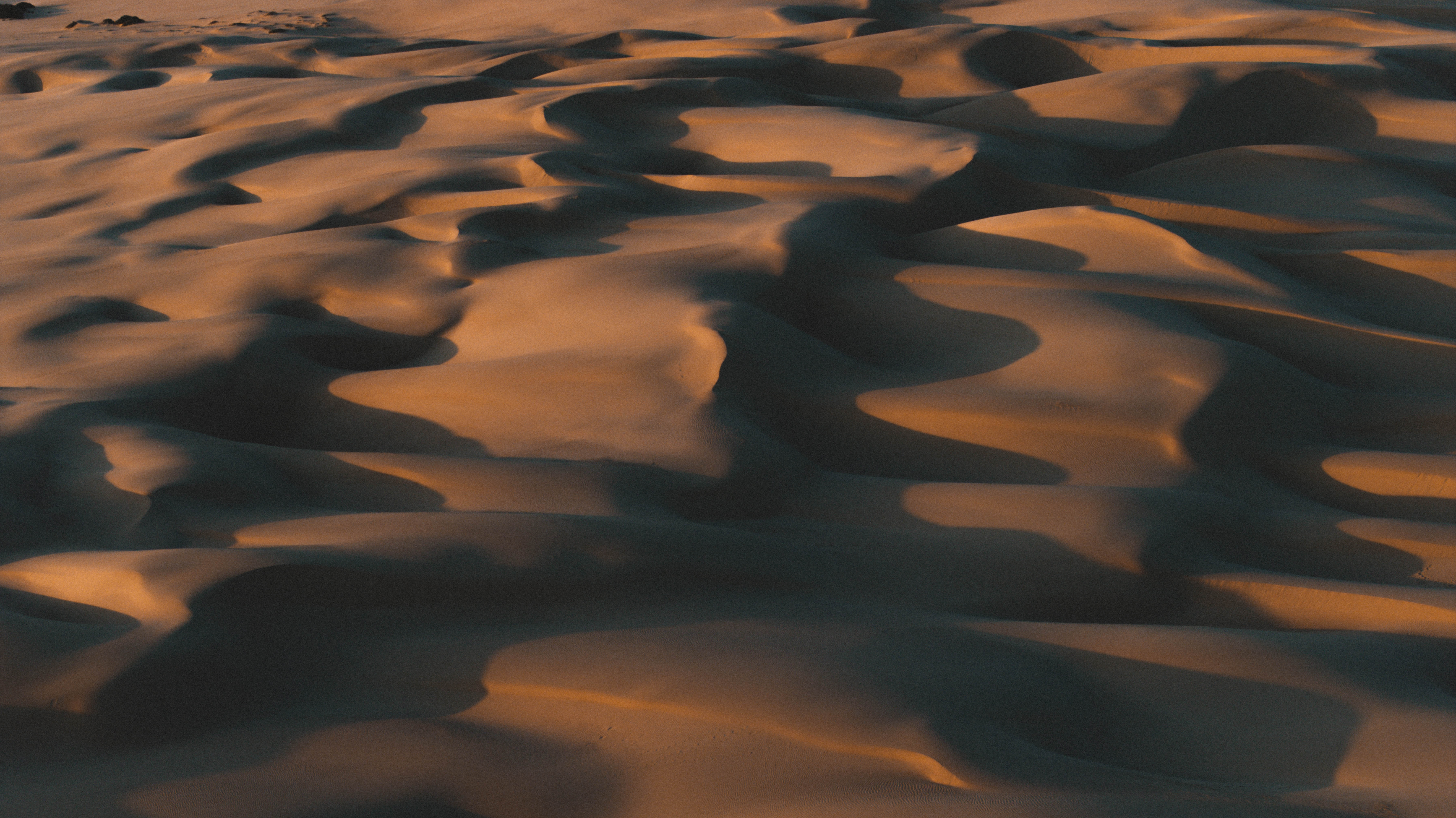 Waves of sand create a textured pattern illuminated by warm light, showcasing natural hues and shadows.