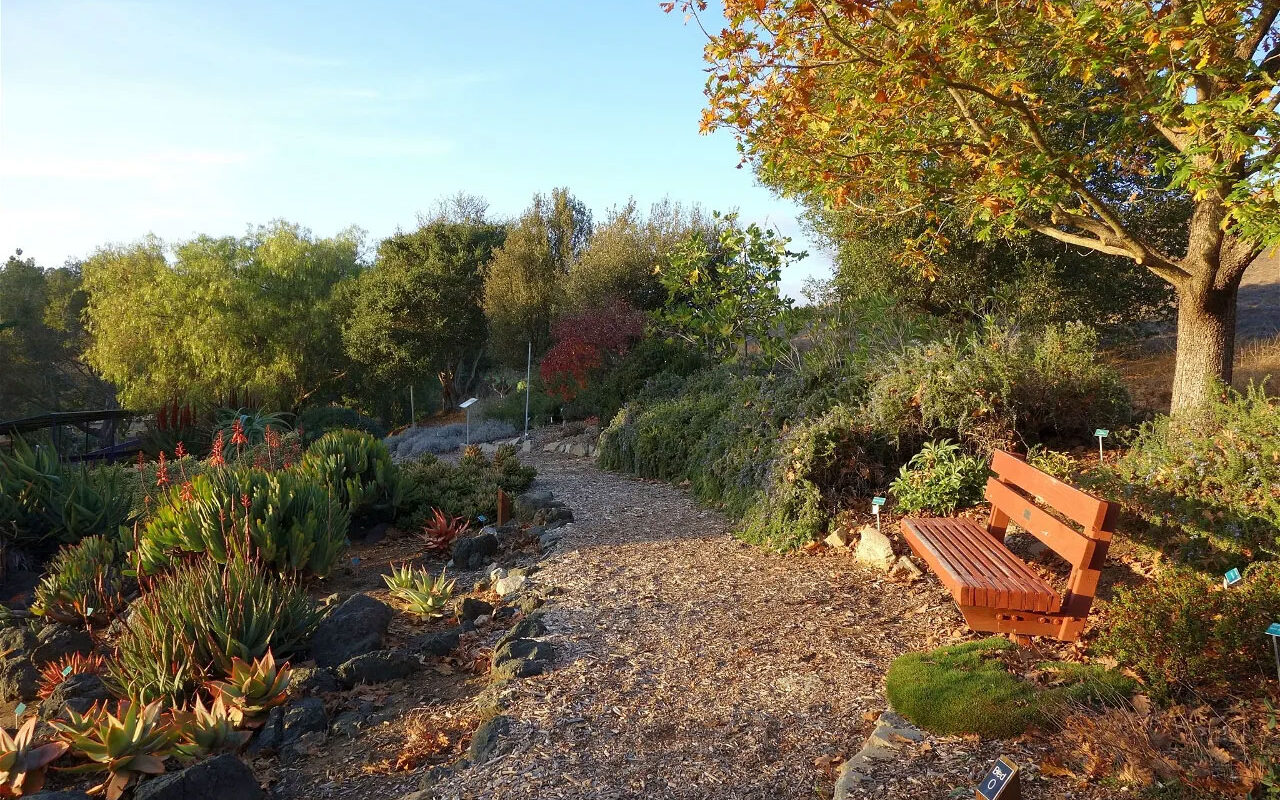 SLO-Botanical-Gardens